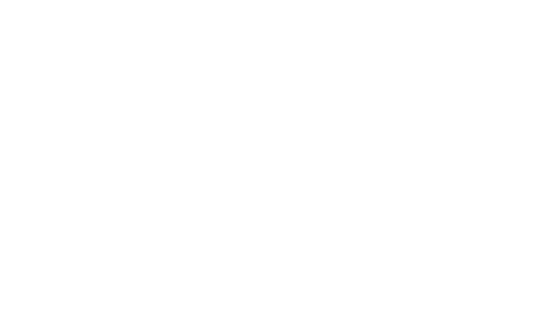 roy studio.